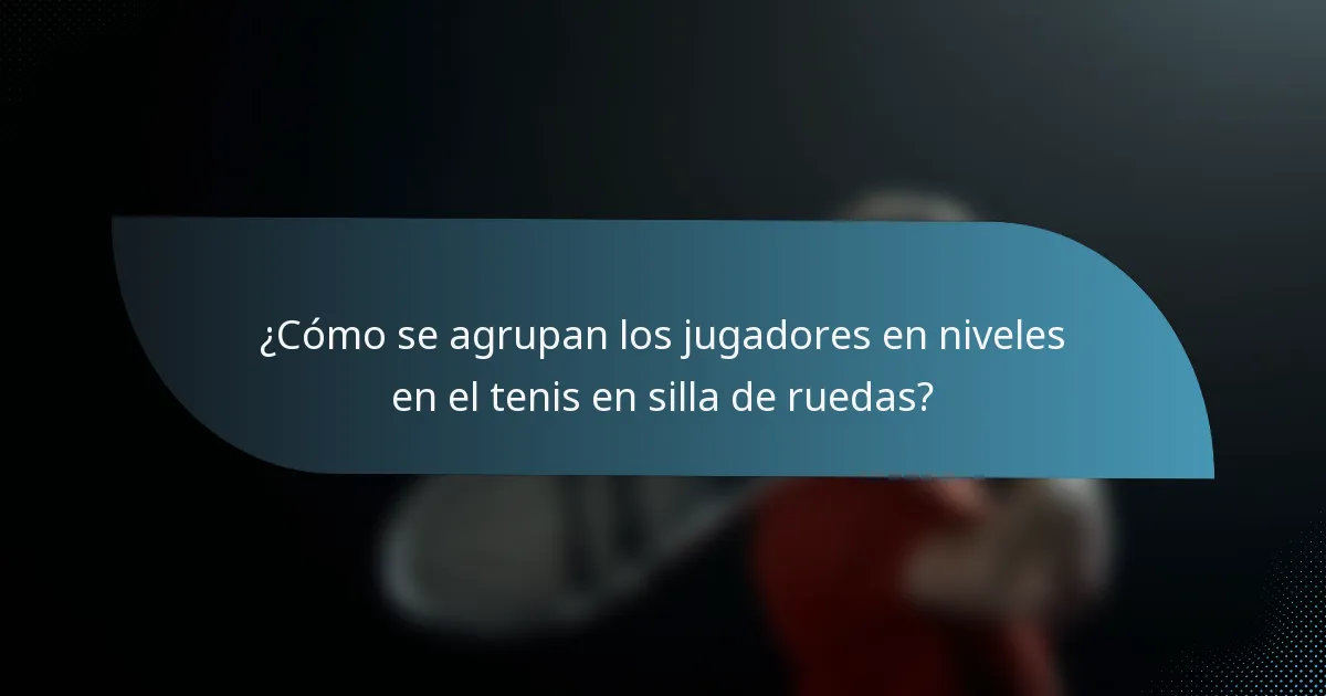 ¿Cómo se agrupan los jugadores en niveles en el tenis en silla de ruedas?