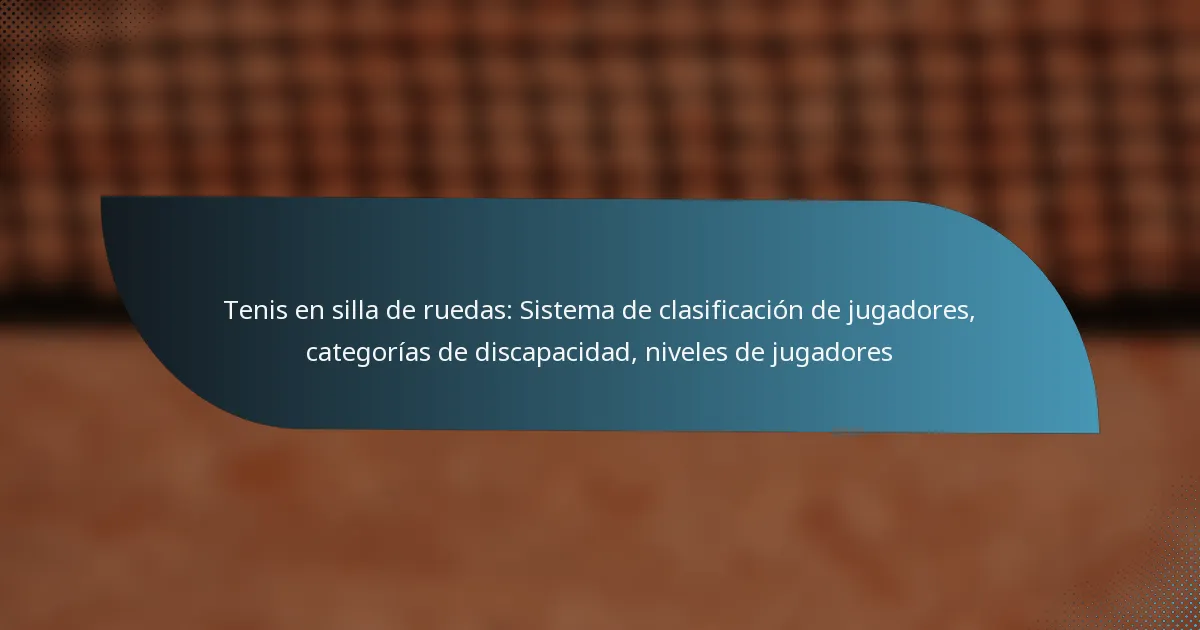 Tenis en silla de ruedas: Sistema de clasificación de jugadores, categorías de discapacidad, niveles de jugadores